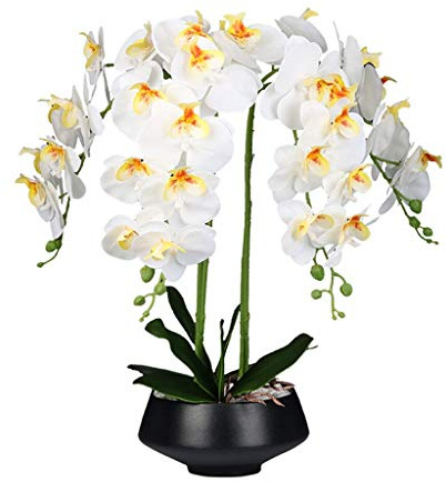 HXFFXHF Fiore Artificiale in Vaso Pianta Artificiale di Orchidea Phalaenopsis, composizioni Floreali di Fiori di Seta Bianchi con Vaso Nero