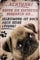 Blechschild Lustiger Spruch: “ACHTUNG! Bevor sie Eintreten“ Deko Hund Mops Humor Hundeschild Eingang Metallschild Schild Witziges Geschenk zum Geburtstag oder Weihnachten 20x30 cm