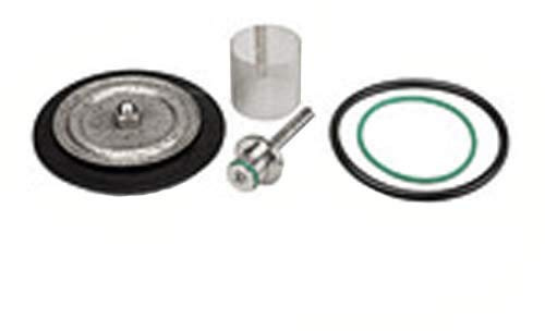 RIEGLER 101205-22.5714.4.16 Verschleißteilesatz mit PTFE-Membrane, G 1/4, 1Stk