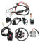 Riloer Kompletter elektrischer Kabelbaumsatz für ATV Quad 150/200/250 DC, Kabelbaum, Webstuhlkabel CDI Stator 910144