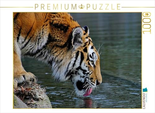 CALVENDO Puzzle EIN Motiv aus dem Kalender Tiger - die leisen Jäger des Dschungels | 1000 Teile Lege-Größe 64 x 48 cm Foto-Puzzle für glückliche Stunden