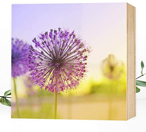 Wunderpixel® Holzbild Blütenkugel - 15x15x2cm zum Hinstellen/Aufhängen, echter Fotodruck auf Holz - Wand-Bild Aufsteller Dekoration für Zuhause/Büro oder als Geschenk - Fotografie mit Blume Blüte