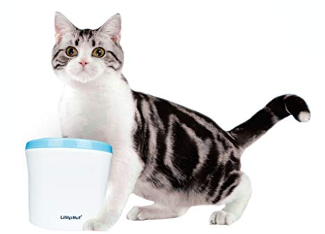 Zedelmaier Katzen/Hunde Trinkbrunnen, Katzenbrunnen Wasserbrunnen mit Aktivkohlefilter 2L (Silber)