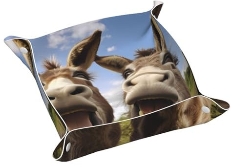 Lustiges Eselmuster, hochwertiges Leder-Aufbewahrungsfach für Schlüssel, Uhr, Make-up und andere kleine Gegenstände. S WHJYYXDE