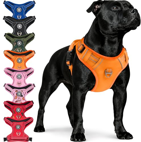 Reichstadt Pets Hundegeschirr Große Hunde 25RSP083 Orange L | Verstellbares No-Pull Geschirr mit Griff & Reflektoren | Atmungsaktiv, Gepolstert & Strapazierfähig | Sicherheitsgeschirr