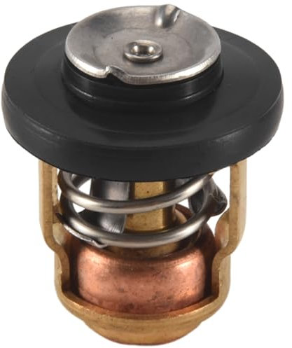 Swiixxer Sostituzione Termostato Esterno da 50 Gradi per 6 A 40 2 Tempi