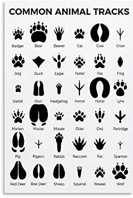 SMWY Retro-Poster DYJCommon Animal Tracks auf Leinwand, Wandkunst, Kunstdruck, modernes Familienschlafzimmerdekor, 30 x 45 cm