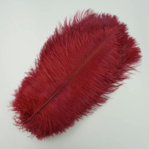 10 plumas de avestruz para decoración, 25-30 cm, 10-12 pulgadas, para el centro de mesa, accesorios de plumas para ropa, decoración, color vino tinto