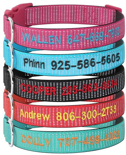 Personalisierbares besticktes Hundehalsband, individuelle Halsbänder mit Haustiernamen und Telefonnummer für Jungen und Mädchen, 4 verstellbare Größen, XS, S, M und L (massiv)