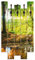 ARTLAND Wandgarderobe Garderobenpaneel Holz mit 8 Haken 63x114 cm Design Garderobe mit Motiv Natur Wald Bach Herbst Grün T9IO