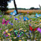 LOMYLM 24 mariposas en palos, adornos de jardín al aire libre, mariposas decorativas para maceta/planta/patio/casas de verano, accesorios de jardín de hadas