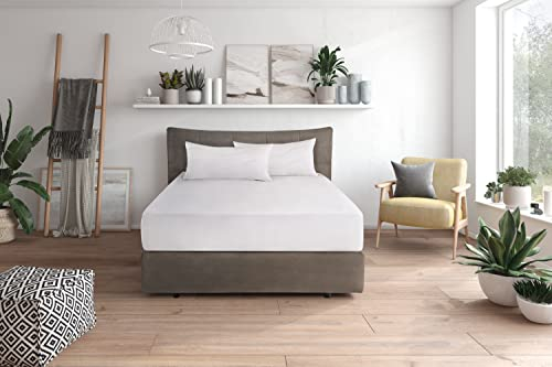 Traumnacht Komfort Kopfkissen mit Bezug aus reiner Baumwolle, Öko-Tex zertifiziertes Kopfkissen mit Reißverschluss, Doppelpack 40x80 cm, entwickelt in Deutschland