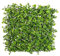 LOLAhome Jardín Vertical Artificial Premium Estilo Enredadera | 1 Panel de 50x50 cm | 5 años protección UV | Realista y Elegante, Fácil instalación | Interior y Exterior | Jardín Vertical