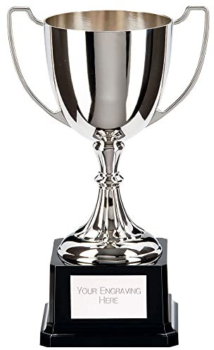 Legend Quality Silver Nickel Plate Trophy Cup Award for Pensentation award for gift 170mm Free Engraving-NP22005D-trd