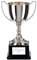 Legend Quality Silver Nickel Plate Trophy Cup Award for Pensentation award for gift 170mm Free Engraving-NP22005D-trd