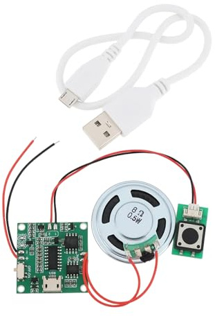 Be In Your Mind Module sonore 8M lecteur de musique MP3 WAV programmable avec haut-parleur pour boîte à musique d'anniversaire DIY carte de vœux
