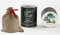 Seedeo Bonsai Geschenk - Set Australische Kiefer (Casuarina equisetifolia)
