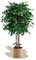 Maia Shop | Ficus | Kunstpflanzen | Künstlicher Baum | Maße: 190 x 100 cm | Kunstpflanze Groß | Fake Plant | Plastik Pflanze | Ficus Benjamini | Deko | Deko Wohnzimmer
