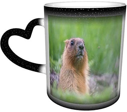 IUBBKI Mug à changement de couleur marmotte dans le ciel tasse en céramique sensible à la chaleur tasses à latte conception sensible à la chaleur pour cadeaux bureau idée personnalisée 12 oz