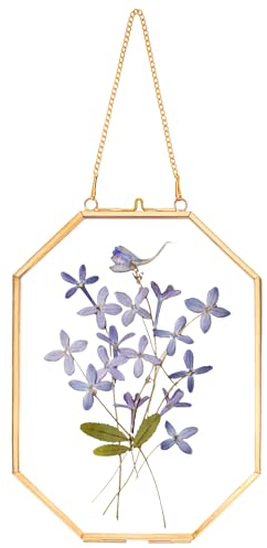 REDHUGO gepresste Blumenrahmen, schwebende Glasrahmen zur Präsentation von getrockneten Pflanzenspezimen, hängender Messing-Fotorahmen mit Kette, doppelt klares Glas, Vintage Wanddekoration, Achteck