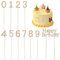 FINGERINSPIRE 11 Stück Happy Birthday Tortenaufleger Golden Metall Strass Kuchen Dekoration Nummer 0-9 Geburtstag Kuchen Topper Bling Cupcake Toppers für Party Hochzeit Jahrestag 156~164x16~92.5mm