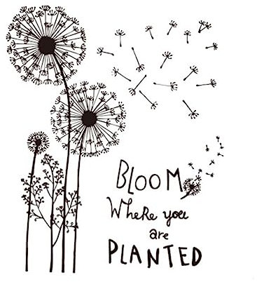 Garneck Dandelion Wall Decal Removable Vinyl Art Sticker for Living Room Bedroom Classroom Decoration Easy to Apply and Remove Smooth Surface Compatible