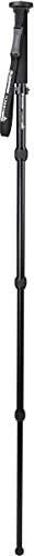 Celestron 82053 Hummingbird Monopod, a Stable Platform for Your Spotting Scope, Binocular or Camera
