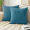 EMEMA Kissenbezug 50x50 cm Kordsamt Kissenbezüge Dekokissen Sofakissen Cord Kissenhülle Zierkissenbezug Kord Dekorative Weiche für Sofa Wohnzimmer Schlafzimmer 2er Set Seeblau