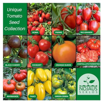 Nojus - Set di semi di pomodoro - 10 varietà - Kit di avviamento - 10 confezioni - Semi Scatola di verdure 10 varietà - Scatola di semi