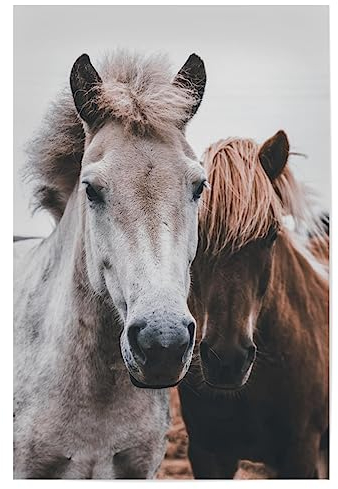 artboxONE Poster 30x20 cm Pferde Tiere Wild Horses hochwertiger Design Kunstdruck - Bild horse