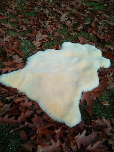 Provellus Echt medizinisches Merino Lammfell Schaffell geschoren und ungeschoren S-XXXL (2. Wahl 3-4 cm geschoren, 40cm Rund)
