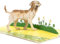 LIMAH® Pop Up Hundekarte, Geburtstagskarte, Glückwunschkarte, Freundschaftskarte, Geschenkkarte, Überraschungskarte mit einem großen Hund (Labrador) und einer grünen 3D Wiese (Beige)