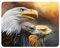 3D LiveLife Magnet - Three Eagles from Deluxebase. Lenticular 3D Eagle Fridge Magnet. Magnetic decor for kids and adults with artwork licensed from renowned artist, Carol Cavalaris