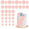 30Pcs Glitter Balls Cake Topper Foam Ball Cake Picks Mini Balloon DIY Cake Insert Topper Decoration for Baby Shower Wedding Anniversary Kids Birthday Graduation Party Cake Decorations Light Pink