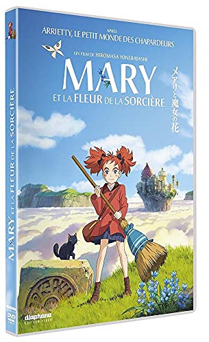 Mary et la fleur de la sorcière [FR Import]
