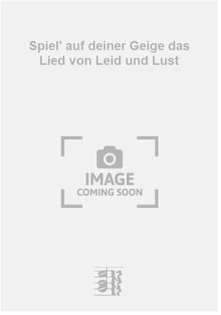 Spiel' auf deiner Geige das Lied von Leid und Lust. Salonorchester. Partitur