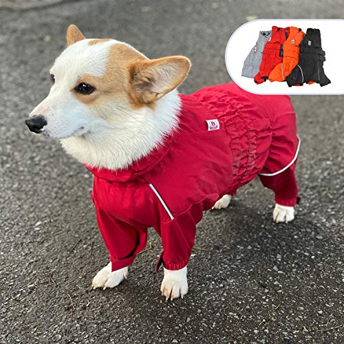 wasserdichte Hundejacke, leichte reflektierende Sicherheits-Hunderegenjacke, Winddichte und schneesichere Hundeweste für Corgis Dackel Red D-L