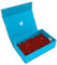 Feldherr Magnetbox blau kompatibel mit 36 Citadel Farbtöpfchen (18 ml / 24 ml), Farbe:Kirschrot