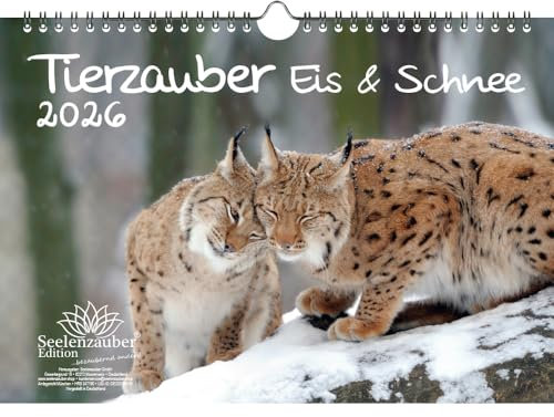 Tierzauber Eis und Schnee DIN A4 Kalender für 2026 Tiere Polar - Set-Inhalt: 1x Kalender 1x Weihnachtsanhänger 1x Grußanhänger (gesamt 3 Teile)