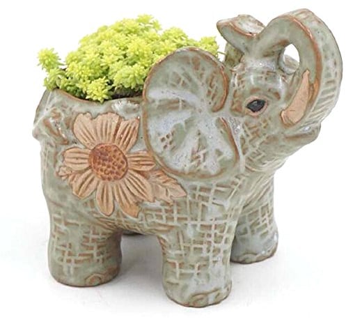 duojin Keramik Topf Elefanten Kaktus Sukkulenten Pflanze Topf Blumen Pflanzer Mini Garten