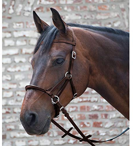 LINDA TELLINGTON JONES Lindel Pony, braun