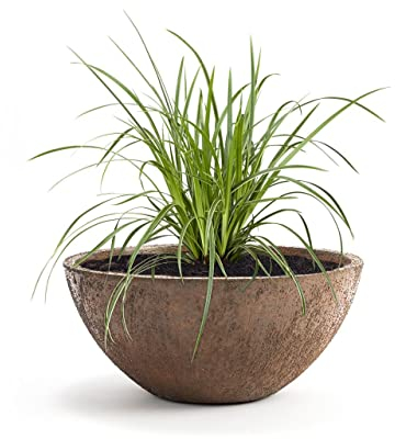 Pflanzwerk® Fioriera Vaso da Fiori Bowl Ø 28cm Ruggine *Resistente al Gelo* *Europea di qualità* *Protezione UV*