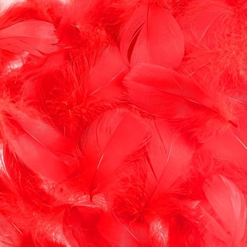 Mbsomnus 600 Stück Federn zum Basteln Rot Federn Natürliche Feder Deko Bastelfedern für DIY Handwerk Traumfänger Ohrringen Kopfschmuck Federblumen Hochzeit Weihnachten Party Dekoration
