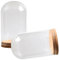 amangul Lot de 2 petits cloches en verre avec base en liège pour décoration et terrariums et bouteilles (7 x 12 cm)