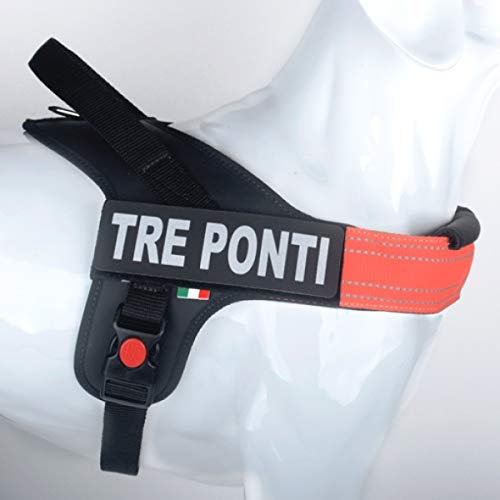 Tre Ponti Geschirr Linea Flash orange Verstellbarer Bauchgurt 60-75 cm bis ca 10-20 kg