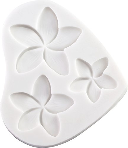 Frangipani Silicone Mould
