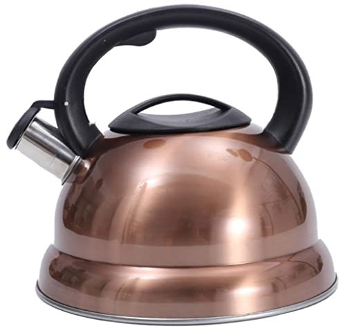 MOBAAK Bollitore Teiera Induzione Bollitore con Fischio in Acciaio Inossidabile Bollitore per Acqua Calda da 3 Litri Bollitore da Cucina Bollitore Caldo Teiera Bollitore per Stufa A Legna