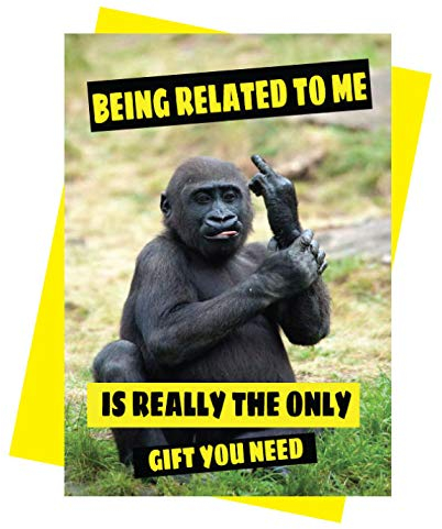 Cheeky Chops Cards Carte d'anniversaire humoristique avec animaux - Singe lié à moi - c343