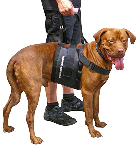 Beppo® Hunde - Gehhilfe - Tragehilfe - für mittelgroße oder große Hunde geeignet - unisex