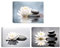CCWACPP Zen Leinwand Wanddrucke 3 teilig Bild mit weißem Lotus und schwarzen Zen Steinen für Yoga Spa Meditation spirituelle Raumdekoration Badezimmer 30x40 cm x 3
